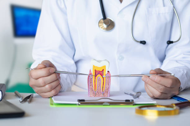 Best Dentist for Tooth Abscess  in Dimmitt, TX